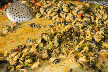 Fried Sea Snails with Chili,Rapane  Sulina,ROMANIA