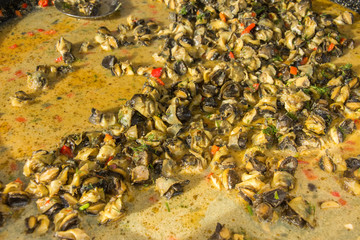 Fried Sea Snails with Chili,Rapane  Sulina,ROMANIA