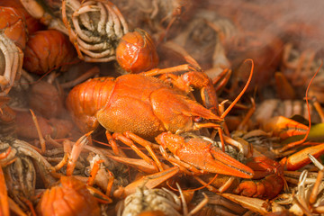 Seafood  ,lobster, Crawfish Boils,chili crab