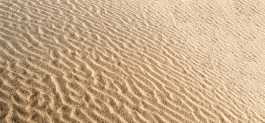Fototapeta na wymiar sand dune background and texture