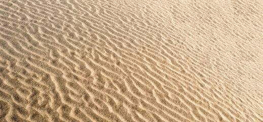 sand dune background and texture