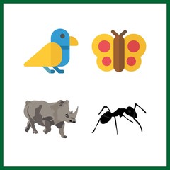4 wildlife icon. Vector illustration wildlife set. rhino and butterfly icons for wildlife works
