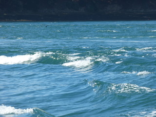 Fototapeta premium Vagues