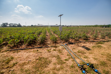agriculture and Internet of things , smart farmer