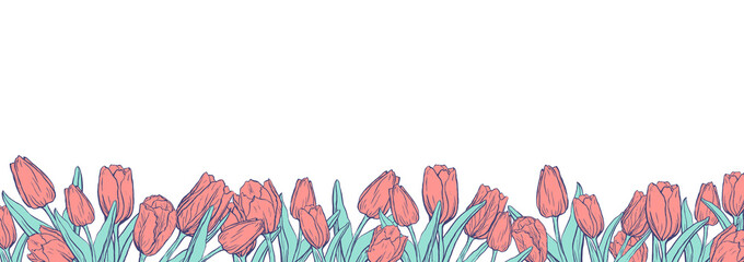 Flat horizontal banner template with two colored tulips on white background