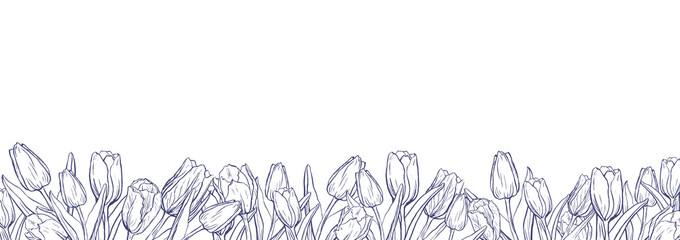 Flat horizontal banner template with outline tulips on white background - obrazy, fototapety, plakaty
