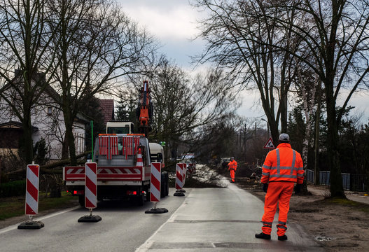 Stra&szlig;enb&auml;ume f&auml;llen im Dorf