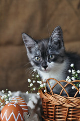 Cute grey little kitten in a wicker basket and Easter eggs of natural red color with a graphic pattern of white paint in a cardboard tray on a retro burlap background.