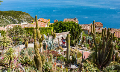 cactus garden overlooking the Mediterranean ocean and village of Eze in the south of France