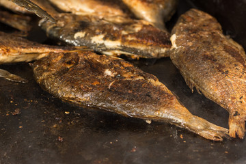 Grilled carp fish ,Dorada (Sparus aurata)