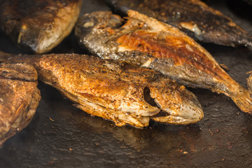 Grilled carp fish ,Dorada (Sparus aurata)