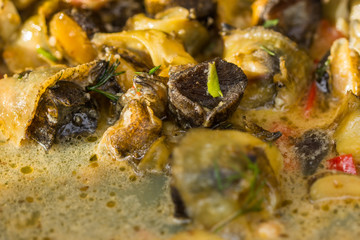 Fried Sea Snails with Chili,Rapane  Sulina,ROMANIA