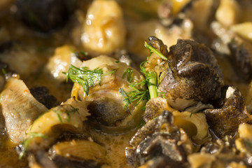 Fried Sea Snails with Chili,Rapane  Sulina,ROMANIA