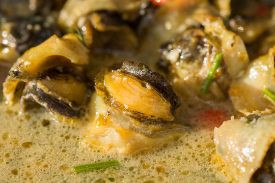 Fried Sea Snails with Chili,Rapane  Sulina,ROMANIA