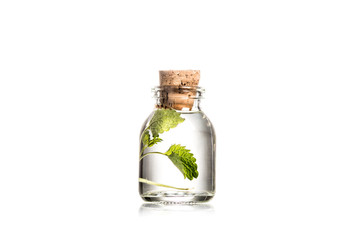 Studio shot of glass bottle with mint leaves isolated on white