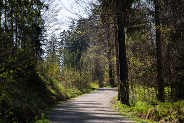 Fototapeta na wymiar Landscape picture from the national park in Bavaria