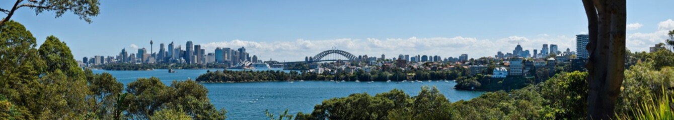 Fototapeta premium Sydney panorama