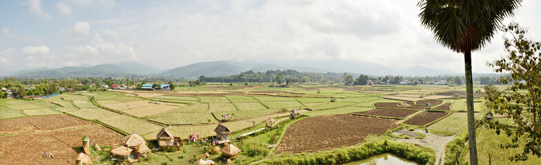Fototapeta premium Rural crops panorama