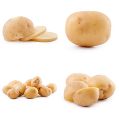 Collection of potato isolated on white background