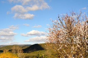 An amazing view in Querença, Algarve