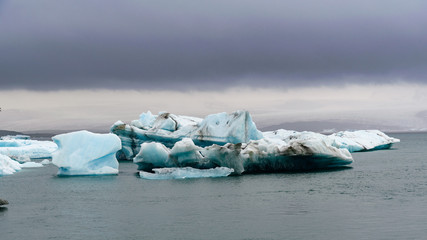 kra z lodowca Jökulsárlón, Islandia - obrazy, fototapety, plakaty