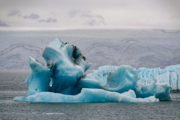 kra z lodowca Jökulsárlón, Islandia © TOP67