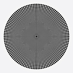 one dot rose