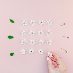 White spring cherry tree blooming flowers pattern