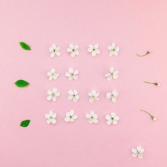 White spring cherry tree blooming flowers pattern