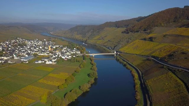 Aerial view of vineyards in autumn near Trittenheim, Moselle River, Moselle Valley, Rhineland-Palatinate, Germany