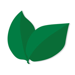 green leafs- vector illustration