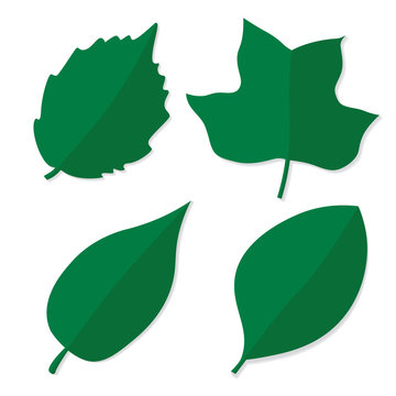 green collection of leaves- vector illustration