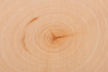 Real close up on a wooden cut texture, directly above.