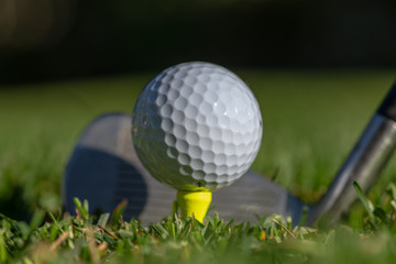 White golf ball teed up on a yellow tee with club face behind it and with soft green background