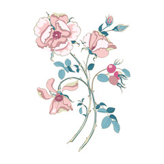 Floral bouquet of beautiful wild rose pastel colors with rose hips on white background, close-up