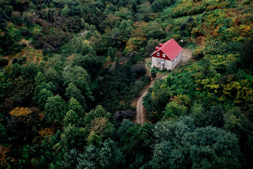 house in the fores