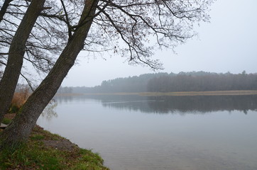 Fototapeta na wymiar Foggy morning at the lake