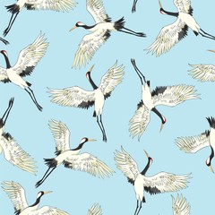 crane birds vector illustration