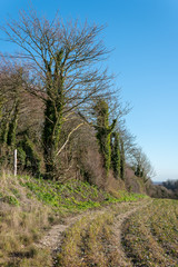 Countryside around Folkington in East Sussex