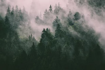 Gordijnen Mistig berglandschap © Roxana