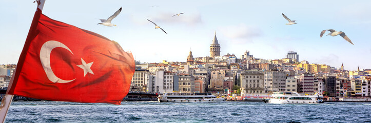 Panorama of Istanbul with Galata Tower at skyline and seagulls over the sea, wide landscape of...