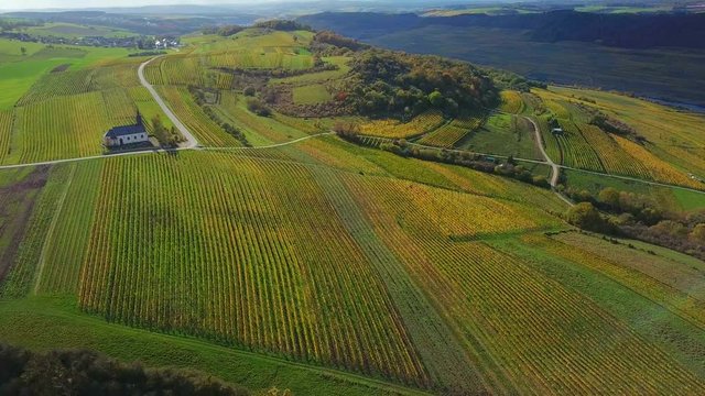 Aerial view of the St. Rochus chapel in the vineyards near Nittel, Obermosel, Moselle Valley, Rhineland-Palatinate, Germany