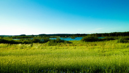 Landscape of meadow and pond in background.