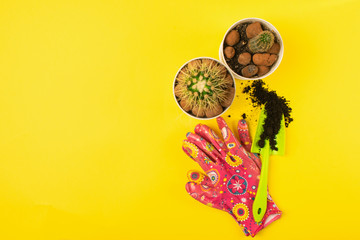 Preparing for spring transplanting plants in pots. A pot, shovel, signet cacti on a bright yellow background.