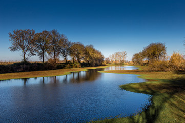 Landscape of a Beautiful River Scene