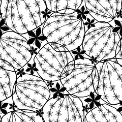 Black on white round blooming cactus hand drawn line art doodle style seamless texture pattern. Vector.