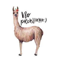 Watercolor No probllama card with llama. Hand painted beautiful illustration with animal, flower and lettering isolated on white background. For design, print, fabric or background.