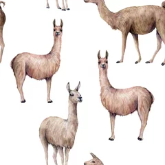 Foto auf Alu-Dibond Watercolor seamless pattern with llama. Hand painted beautiful illustration with animal isolated on white background. For design, print, fabric or background. © yuliya_derbisheva