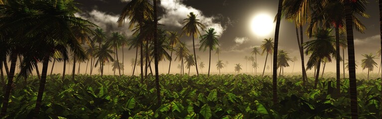 Night in the jungle, the moon over the palm trees, the sky at night in the jungle