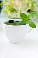 Tasty fresh herbal tea with green peppermint and basil essential oils